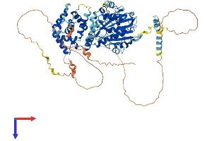 AlphaFold protein structure predicition of Human Recombinant NSUN7 Protein, UniprotID Q8NE18