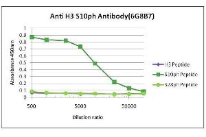 Histone H3S10ph antibody (mAb) (Clone 6G8B7) tested by ELISA.