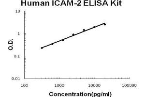 Human ICAM-2 PicoKine ELISA Kit standard curve