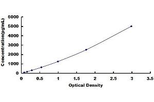 Synuclein, gamma (Breast Cancer-Specific Protein 1) (SNCG) ELISA Kit