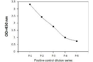 THP1 cells were treated with Pervanadate. (INPP5D Kit ELISA)