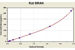 Diagramm of the ELISA kit to detect Rat BRAKwith the optical density on the x-axis and the concentration on the y-axis.