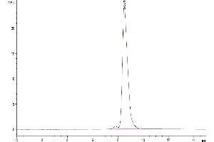 The purity of Human ENPP-3(558-875) is greater than 95 % as determined by SEC-HPLC.