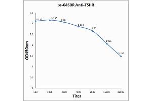 Antigen: 0. (TSH receptor anticorps  (AA 501-600))