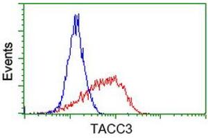 Flow cytometric Analysis of Jurkat cells, using anti-TACC3 antibody (ABIN2453706), (Red), compared to a nonspecific negative control antibody (ABIN2453706), (Blue). (TACC3 anticorps)