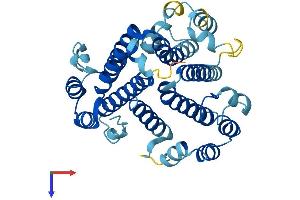 AlphaFold protein structure predicition of Human Recombinant ATP6V0D1 Protein, UniprotID P61421