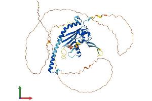 AlphaFold protein structure predicition of Human Recombinant NAP1L3 Protein, UniprotID Q99457
