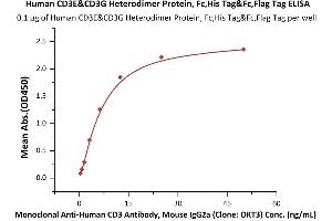 Immobilized Human CD3E&CD3G Heterodimer Protein, Fc,His Tag&Fc,Flag Tag (ABIN4949087,ABIN4949088) at 1 μg/mL (100 μL/well) can bind Monoclonal A CD3 Antibody, Mouse IgG2a (Clone: OKT3), Ultra-low endotoxin  with a linear range of 0.