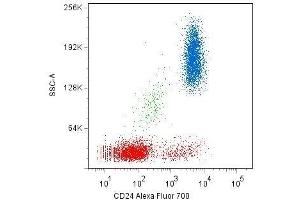 Surface staining of human peripheral blood cells with anti-CD24 (SN3) Alexa Fluor® 700.