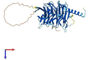 AlphaFold protein structure predicition of Human Recombinant PREB Protein, UniprotID Q9HCU5