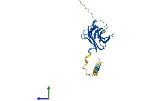AlphaFold protein structure predicition of Human Recombinant TNFSF15 Protein, UniprotID O95150
