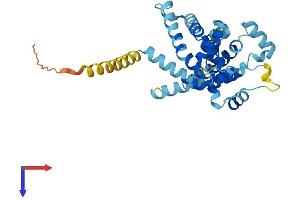 AlphaFold protein structure predicition of Mouse Recombinant Slc25a38 Protein, UniprotID Q91XD8