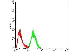 Flow cytometric analysis of Hela cells using CDKN2A/P16 mouse mAb (green) and negative control (red). (Tumor Suppressor ARF (CDKN2A) (AA 1-156) anticorps)