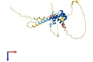 AlphaFold protein structure predicition of Mouse Recombinant Prrx2 Protein, UniprotID Q06348