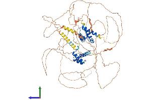 AlphaFold protein structure predicition of Mouse Recombinant Pou2f1 Protein, UniprotID P25425