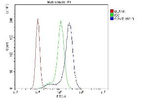 Flow Cytometry analysis of K562 cells using anti-COMT antibody (ABIN7601948).