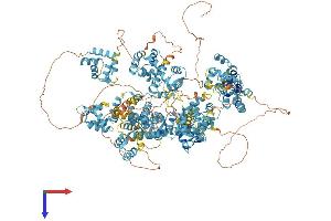 AlphaFold protein structure predicition of Mouse Recombinant Efcab6 Protein, UniprotID Q6P1E8