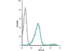 Cell surface detection of VPAC2 in live intact human Jurkat cell line: (black line) Cells + goat-anti-rabbit-DyLight-488. (VIPR2 anticorps  (Extracellular))