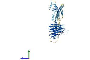 AlphaFold protein structure predicition of Mouse Recombinant Trim60 Protein, UniprotID Q8VI40