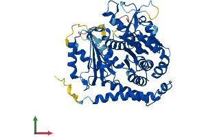 AlphaFold protein structure predicition of Human Recombinant TUBE1 Protein, UniprotID Q9UJT0