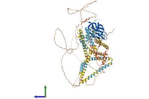 AlphaFold protein structure predicition of Mouse Recombinant Sun1 Protein, UniprotID Q9D666