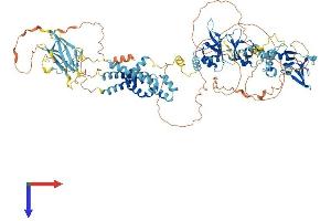 AlphaFold protein structure predicition of Mouse Recombinant Cnnm1 Protein, UniprotID Q0GA42