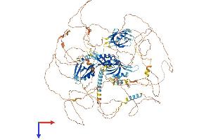 AlphaFold protein structure predicition of Human Recombinant PARD3B Protein, UniprotID Q8TEW8