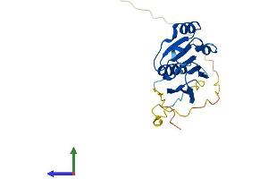 AlphaFold protein structure predicition of Human Recombinant NDUFAF3 Protein, UniprotID Q9BU61