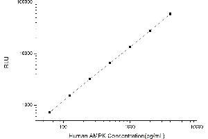Typical standard curve (AMPK alpha Kit CLIA)