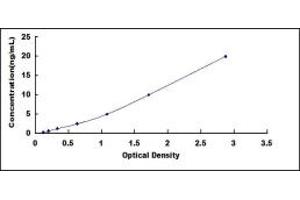 Typical standard curve (HCN4 Kit ELISA)