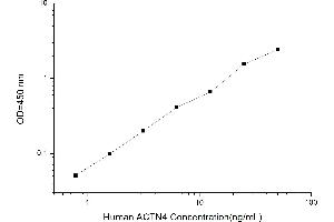Typical standard curve (alpha Actinin 4 Kit ELISA)