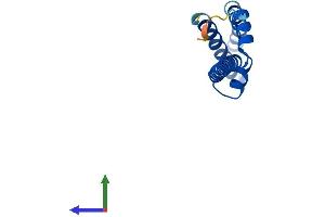 AlphaFold protein structure predicition of Mouse Recombinant Med10 Protein, UniprotID Q9CXU0