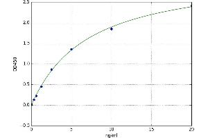 Axin 2 (AXIN2) ELISA Kit