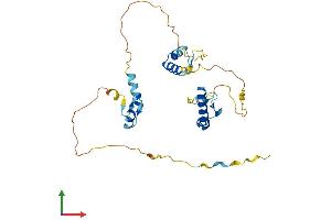 AlphaFold protein structure predicition of Human Recombinant ZMAT3 Protein, UniprotID Q9HA38