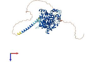 AlphaFold protein structure predicition of Mouse Recombinant Mtmr7 Protein, UniprotID Q9Z2C9