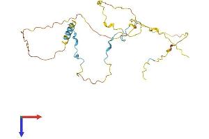 AlphaFold protein structure predicition of Mouse Recombinant Cdca3 Protein, UniprotID Q99M54