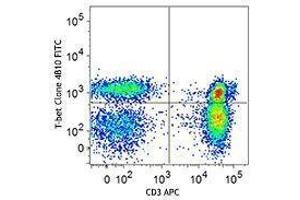 Flow Cytometry (FACS) image for anti-T-Bet antibody (FITC) (ABIN2661996) (T-Bet anticorps  (FITC))