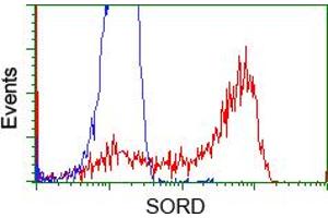 Flow Cytometry (FACS) image for anti-Sorbitol Dehydrogenase (SORD) antibody (ABIN1501073) (SORD anticorps)