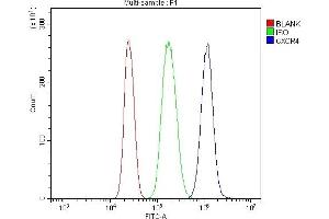 Flow Cytometry analysis of U937 cells using anti-CXCR4 antibody (ABIN7600411). (CXCR4 anticorps  (AA 19-334))