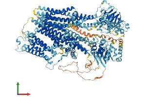 AlphaFold protein structure predicition of Human Recombinant ABCC9 Protein, UniprotID O60706