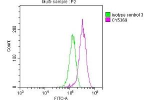 Overlay histogram showing HepG2 cells stained with ABIN7127600 (red line) at 1:50.