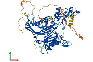 AlphaFold protein structure predicition of Human Recombinant PPM1J Protein, UniprotID Q5JR12