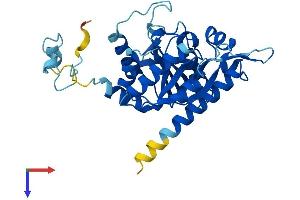 AlphaFold protein structure predicition of Human Recombinant NUBP1 Protein, UniprotID P53384
