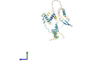 AlphaFold protein structure predicition of Mouse Recombinant Hyls1 Protein, UniprotID Q9CXX0
