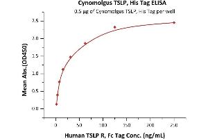 Immobilized Cynomolgus TSLP, His Tag (ABIN6973299) at 5 μg/mL (100 μL/well) can bind Human TSLP R, Fc Tag (ABIN5954970,ABIN6253631) with a linear range of 2-31 ng/mL (QC tested).