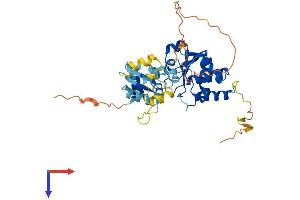 AlphaFold protein structure predicition of Mouse Recombinant Dusp6 Protein, UniprotID Q9DBB1