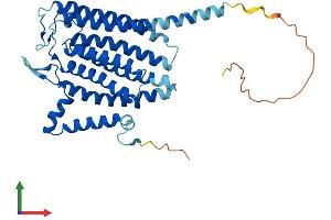 AlphaFold protein structure predicition of Mouse Recombinant Tram2 Protein, UniprotID Q924Z5