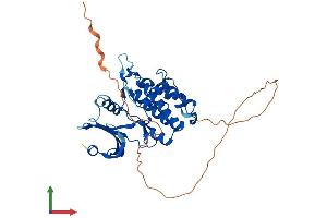 AlphaFold protein structure predicition of Human Recombinant TSSK1B Protein, UniprotID Q9BXA7