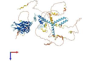 AlphaFold protein structure predicition of Human Recombinant PIK3AP1 Protein, UniprotID Q6ZUJ8