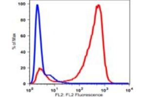 Image no. 2 for anti-CD7 (CD7) antibody (Biotin) (ABIN3071866)